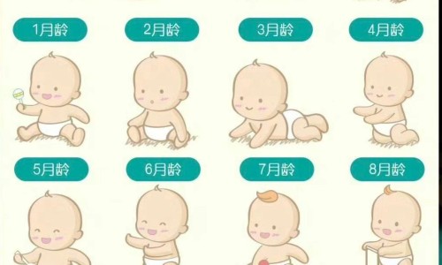 藕粉对身体有帮助吗-藕粉有治疗痘痘效果吗-专业藕粉能美白皮肤吗平台-吃藕粉能改善脸部痘痘吗
